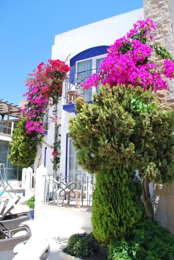 Serpina Hotel (Adults Only) Bodrum Dış mekan fotoğraf